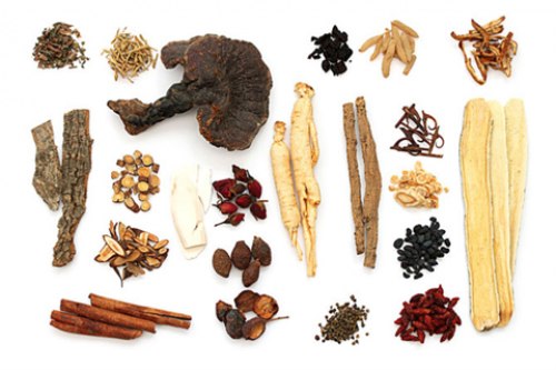 Ấm sắc thuốc điện Trường Thọ BA-2086 Gold