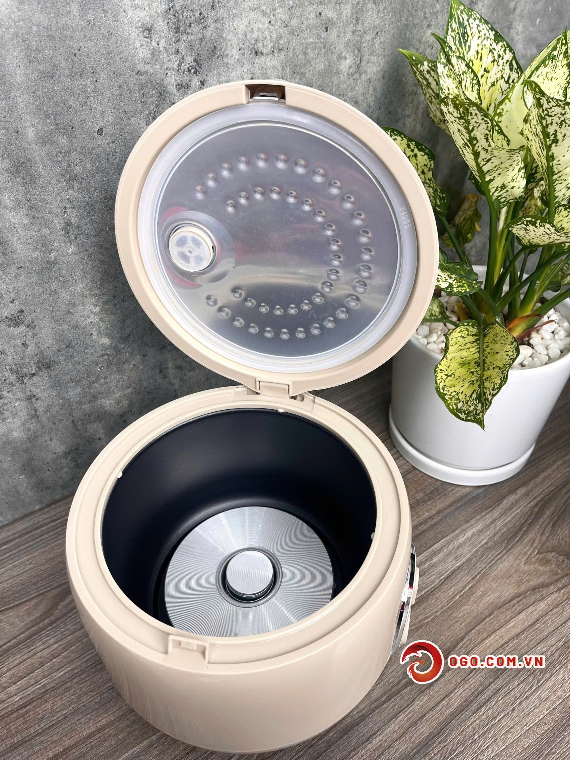 noi-com-dien-kalpen-r11