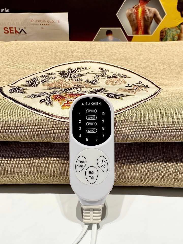 đệm ngải cứu