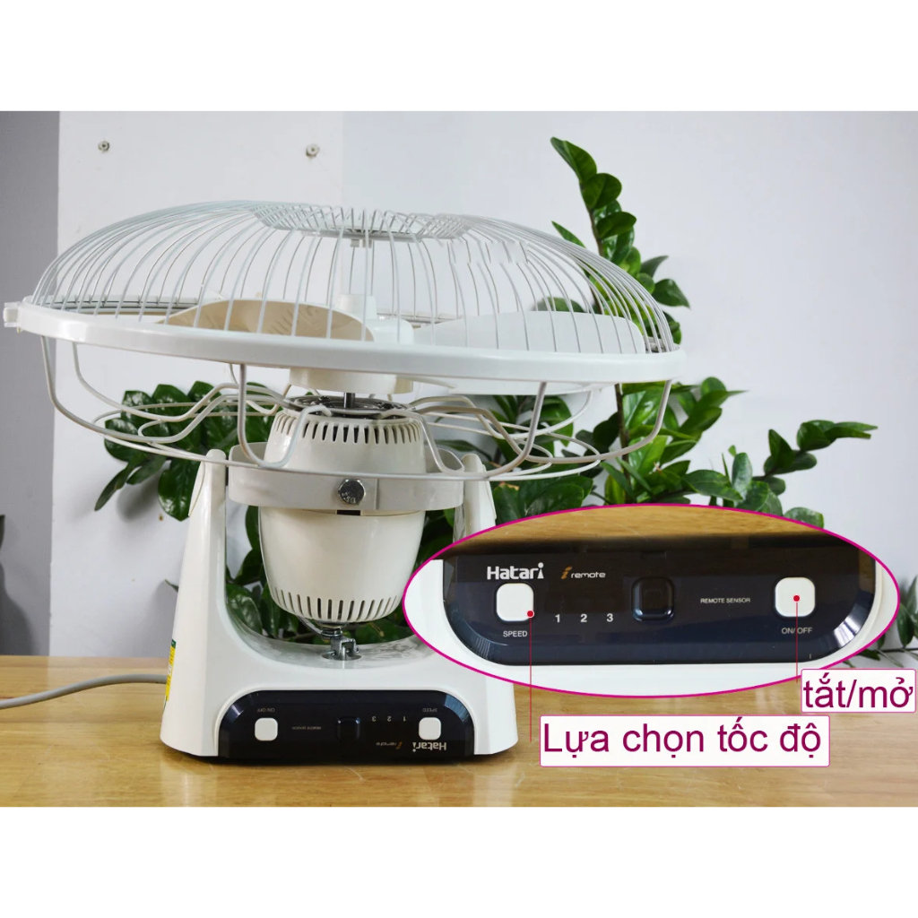 Quạt đảo trần Thái Lan Hatari HT-C16R1 có Remote