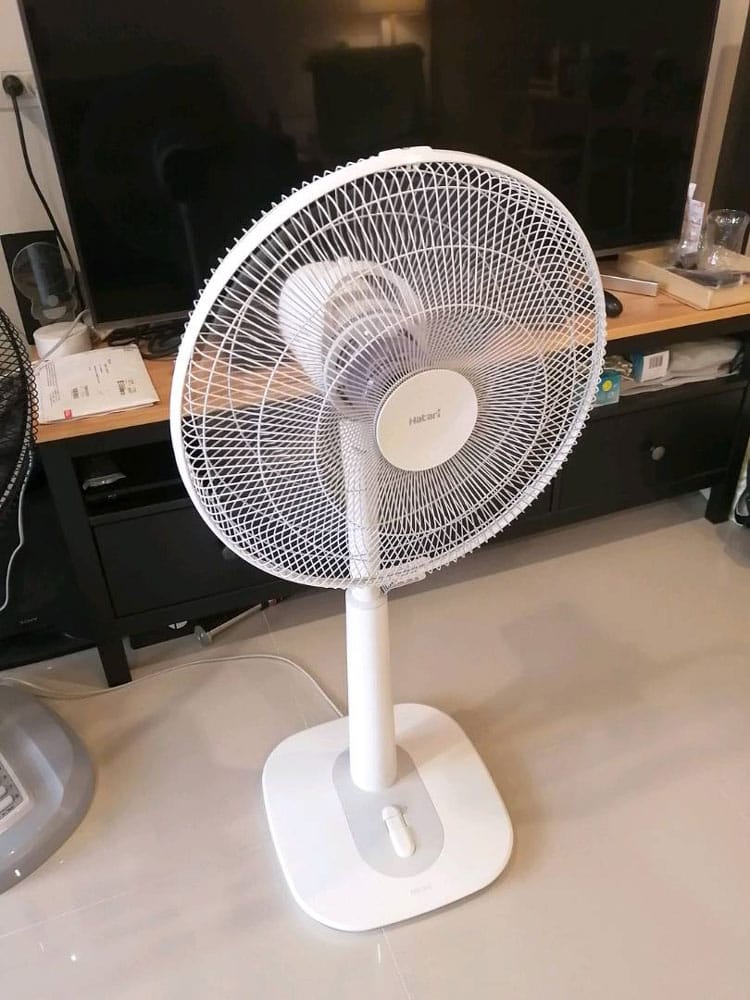 Quạt cây lửng Hatari S16m1 Thái Lan