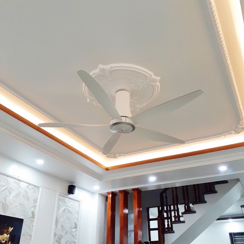 Quạt trần 5 cánh GALE CF-60GDN